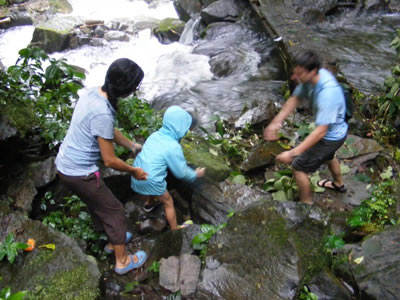 Waterfall 3